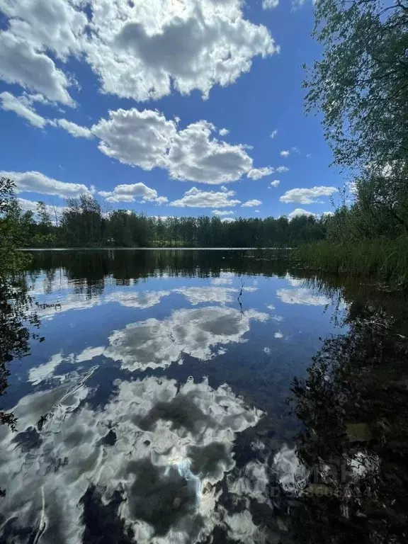Участок в Ленинградская область, Всеволожский район, Куйвозовское ... - Фото 1