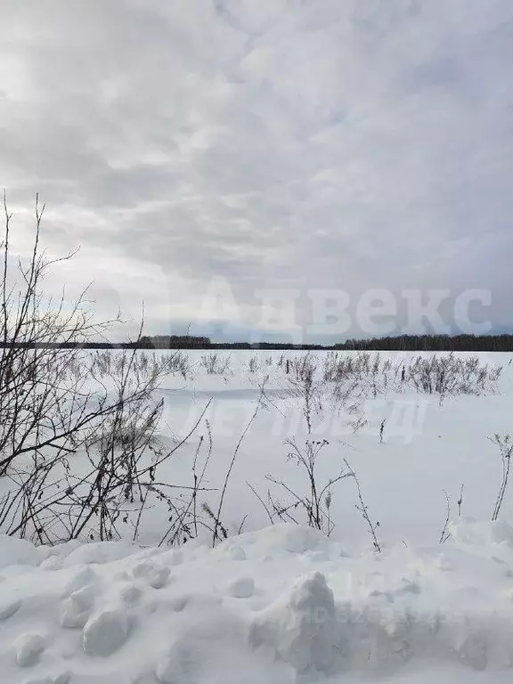 Участок в Тюменская область, Нижнетавдинский муниципальный округ, ... - Фото 1