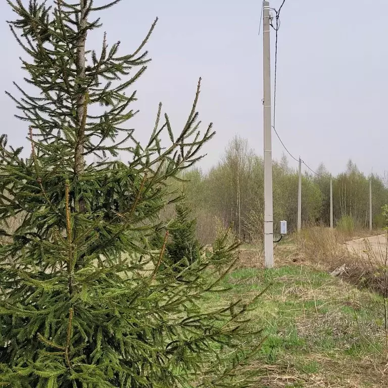 Участок в Московская область, Дмитровский муниципальный округ, Позитив ... - Фото 2