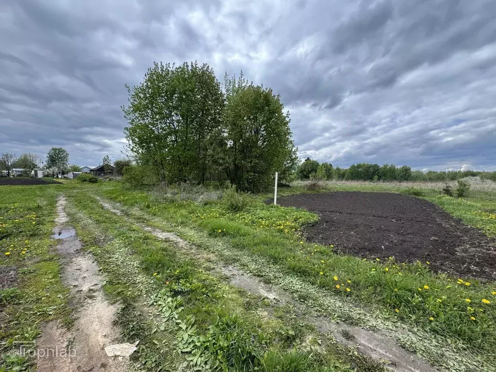 Участок в Нижегородская область, Нижний Новгород с. Чернуха, ул. ... - Фото 1