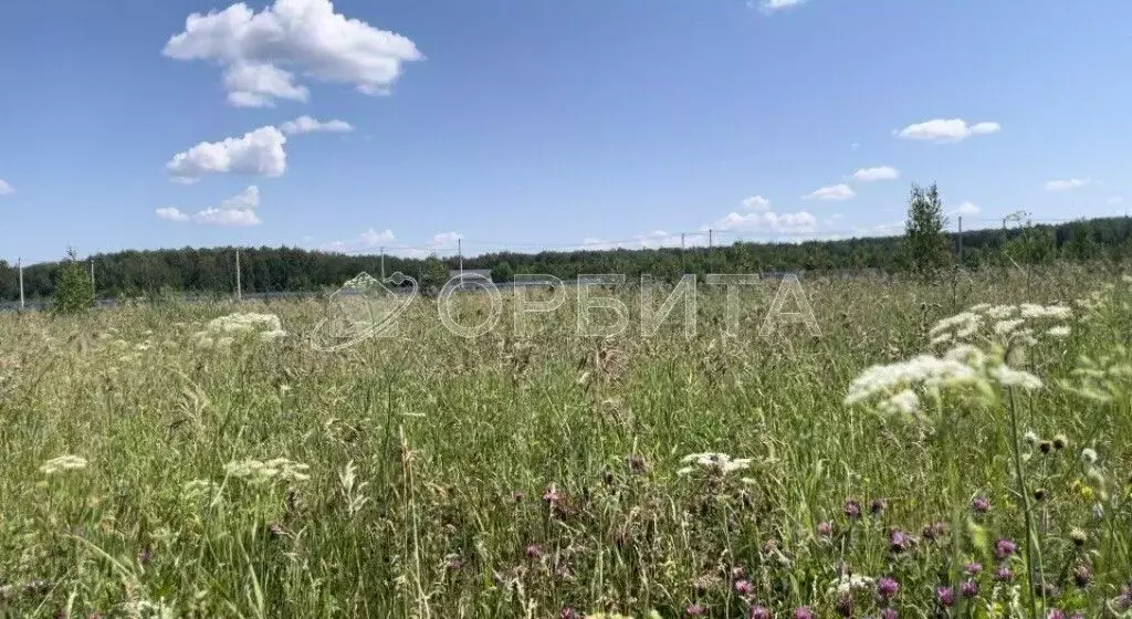 Участок в Тюменская область, Тюменский муниципальный округ, с. Кулига  ... - Фото 2