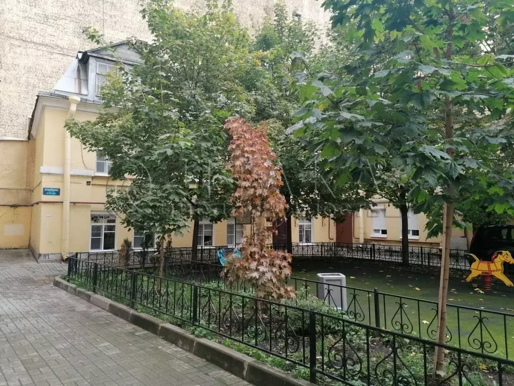 Помещение свободного назначения (242 м) - Фото 1