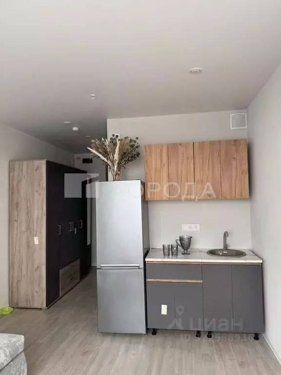 Студия Новосибирская область, Новосибирск ул. Кирова, 113/2 (30.0 м) - Фото 2