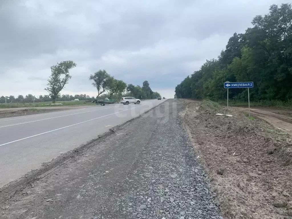 Участок в Курская область, Курский район, Нижнемедведицкий сельсовет, ... - Фото 1