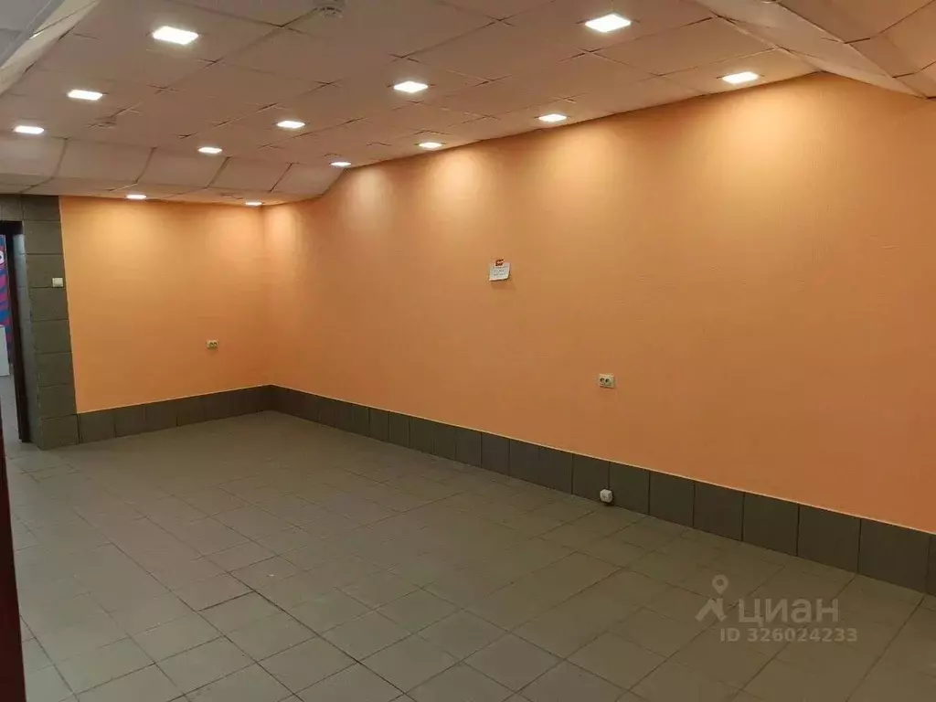 Помещение свободного назначения в Новосибирская область, Новосибирск ... - Фото 1