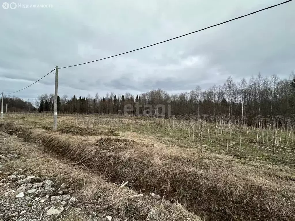 Участок в Республика Коми, муниципальный район Сыктывдинский, ... - Фото 1