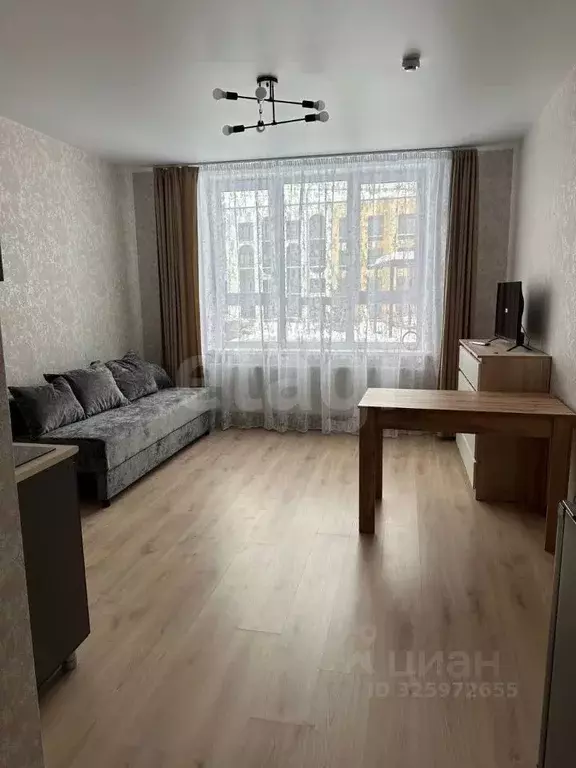 Студия Пермский край, Пермский муниципальный округ, с. Фролы ул. ... - Фото 1