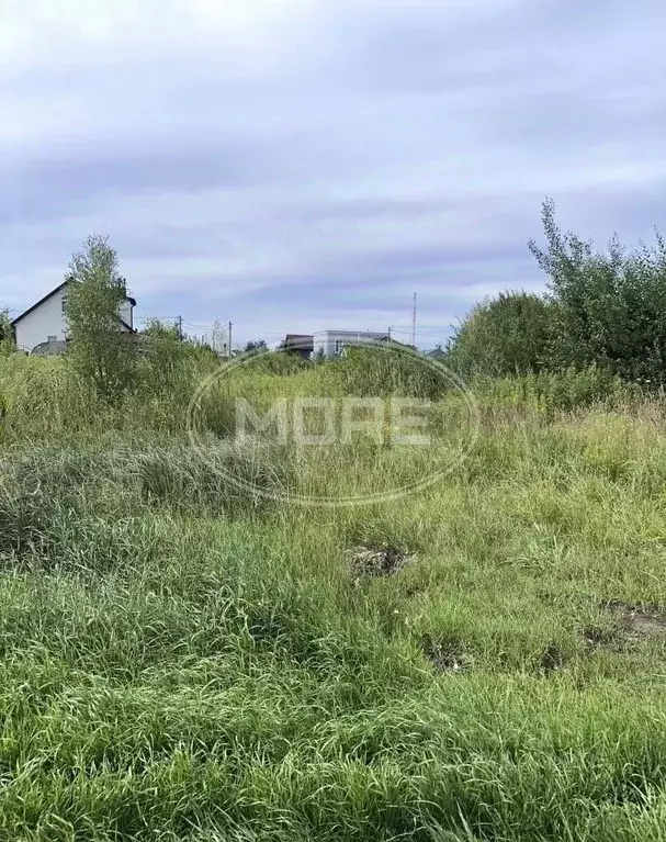 Участок в Калининградская область, Балтийск Балтийские Озерки СНТ,  ... - Фото 1