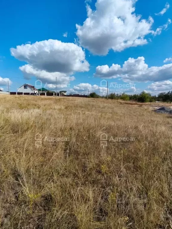 Участок в Волгоградская область, Городищенский район, Царицынское ... - Фото 1