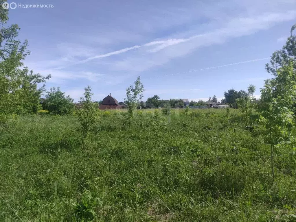 Участок в Московская область, городской округ Коломна, деревня Гришино ... - Фото 2