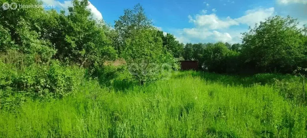 Дом в Белгородская область, Яковлевский муниципальный округ, хутор ... - Фото 1