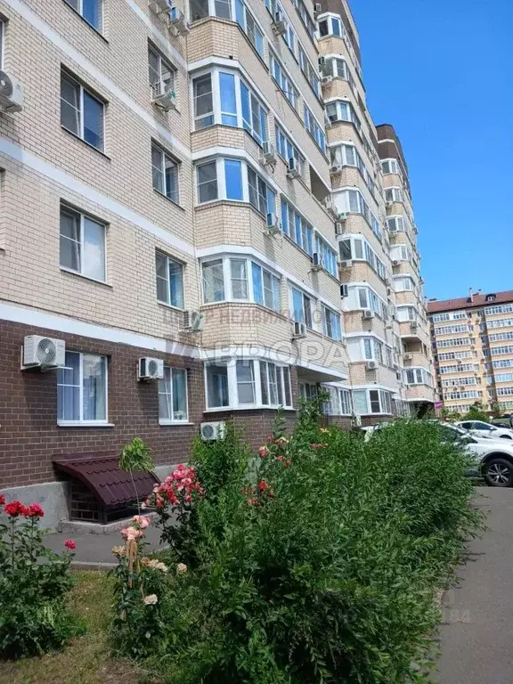 Студия Ростовская область, Ростов-на-Дону пер. Крючкова, 1/20 (29.5 м) - Фото 2
