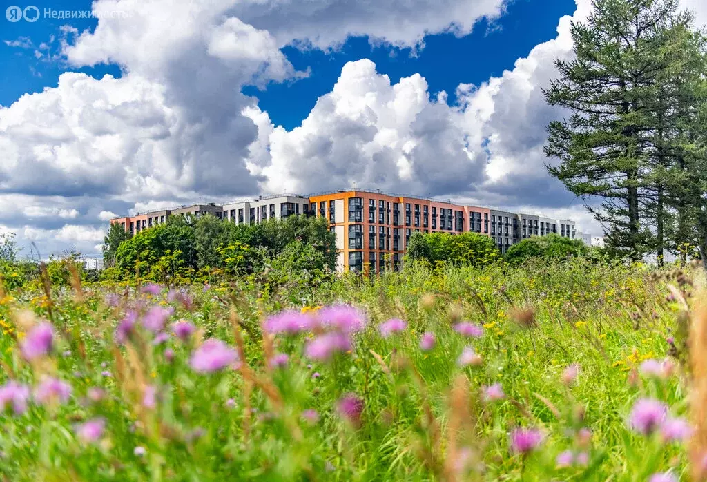 2-комнатная квартира: Москва, улица Корнейчука, 27 (53 м) - Фото 2