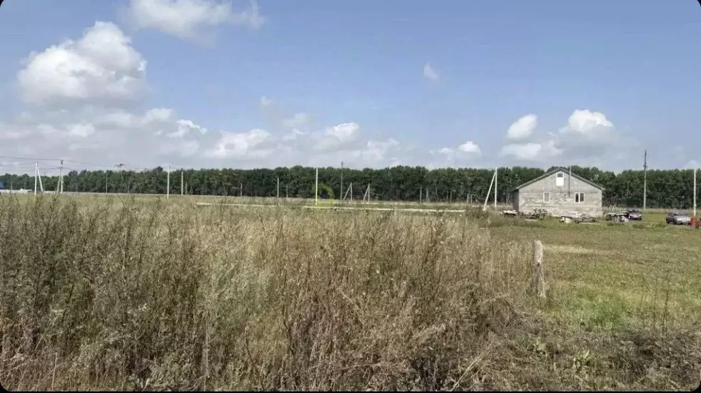 Участок в Башкортостан, Кушнаренковский сельсовет, с. Кушнаренково ул. ... - Фото 2