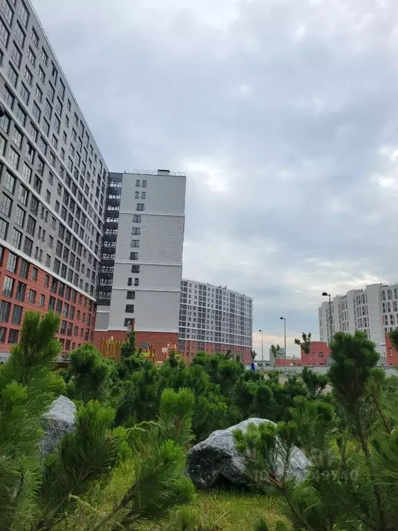 1-к кв. Санкт-Петербург просп. Крузенштерна, 2 (37.0 м) - Фото 1