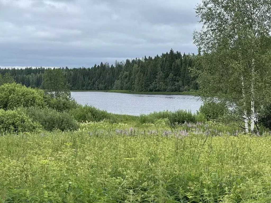 Участок в Тверская область, Вышневолоцкий муниципальный округ, д. ... - Фото 1