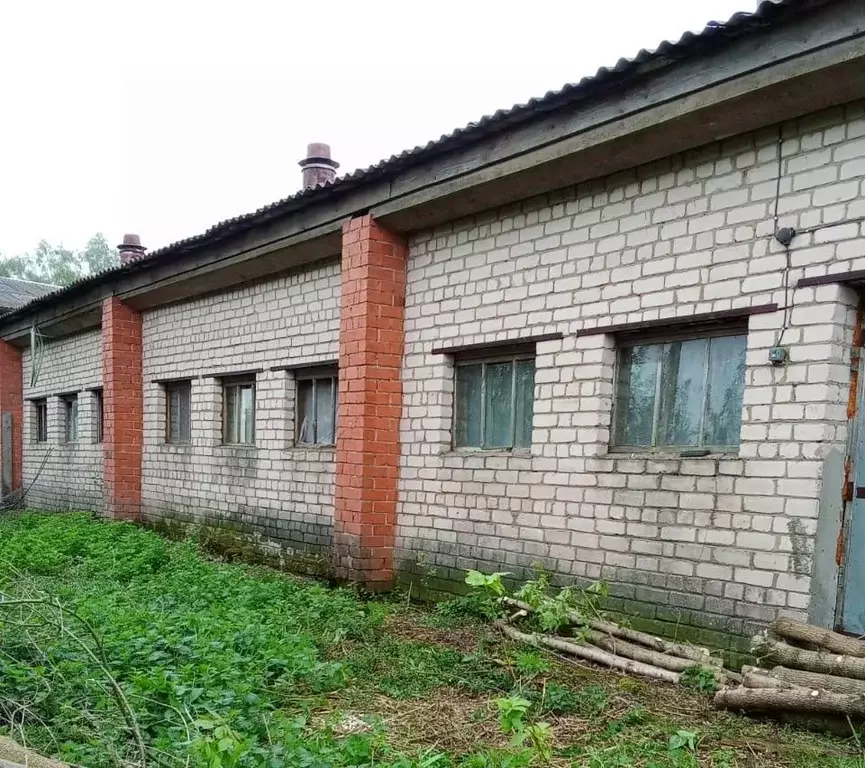 Помещение свободного назначения в Орловская область, Урицкий район, ... - Фото 1