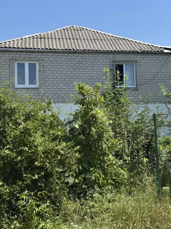 Дом в Краснодарский край, Новороссийск городской округ, с. Мысхако ул. ... - Фото 1