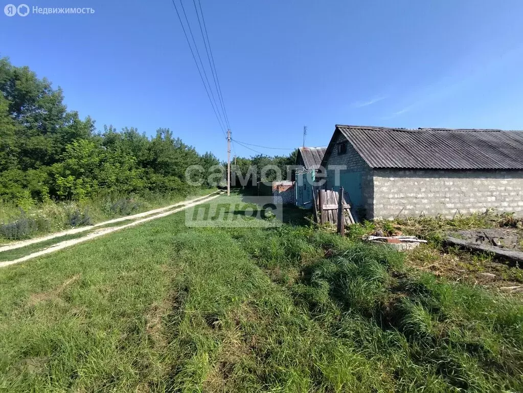 Участок в село Заборовка, Рабочая улица, 65 (10.9 м) - Фото 2