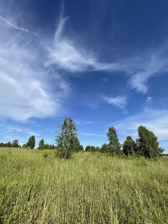 Участок в Тульская область, Белевский район, Правобережное с/пос  ... - Фото 2