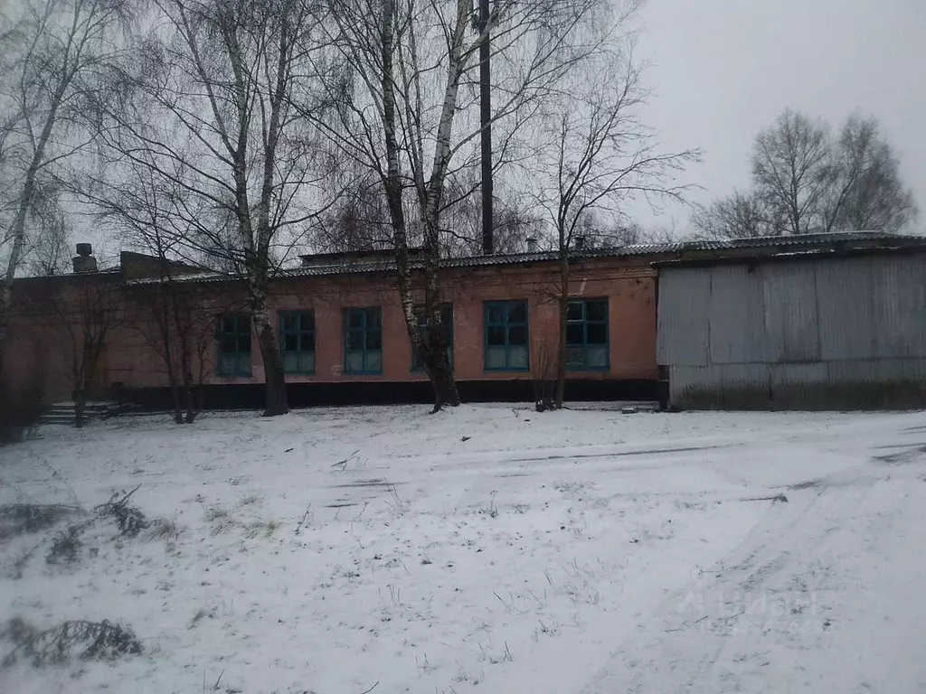 Производственное помещение в Орловская область, с. Знаменское ул. ... - Фото 2