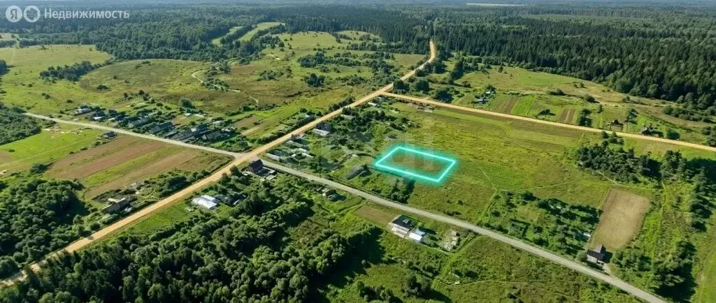 Участок в Новгородская область, Солецкий муниципальный округ, деревня ... - Фото 2