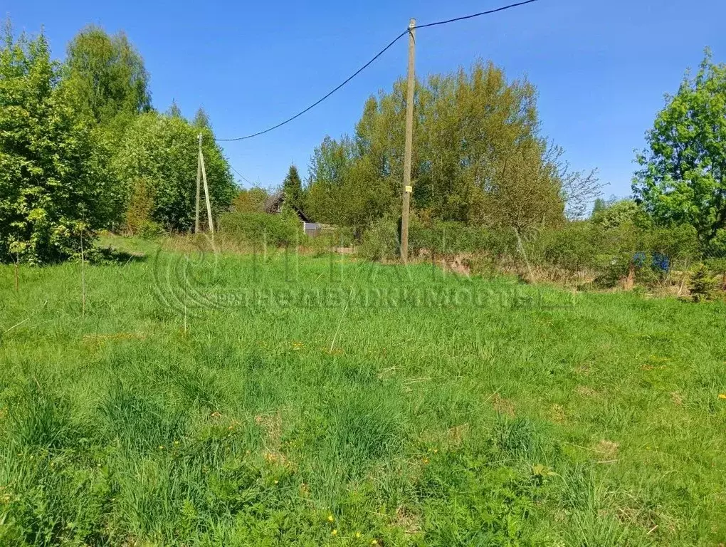 Участок в Ленинградская область, Лодейнопольский район, Доможировское ... - Фото 0