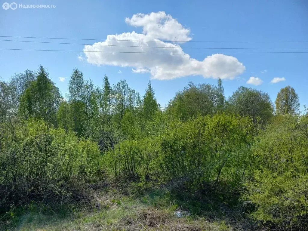 Участок в Псковский район, Логозовская волость, деревня Дуброво (22 м) - Фото 0