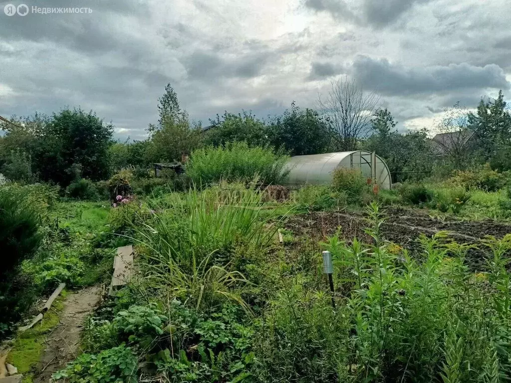 Участок в Медведевский район, Сидоровское сельское поселение, СНТ ... - Фото 2