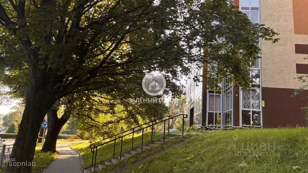 Студия Калининградская область, Светлогорск Пригородная ул., 1к2 (30.0 ... - Фото 1