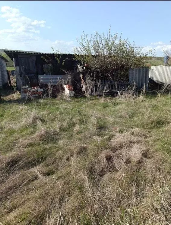 Участок в Саратовская область, с. Поповка ул. Молодежная, 26 (8.0 ... - Фото 2