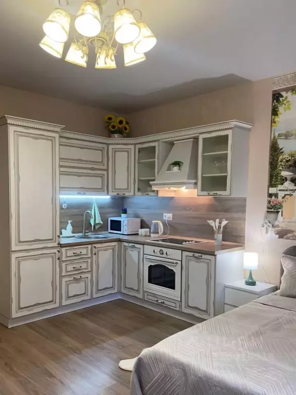 Студия Ленинградская область, Кудрово г. Всеволожский район, Заневское ... - Фото 1