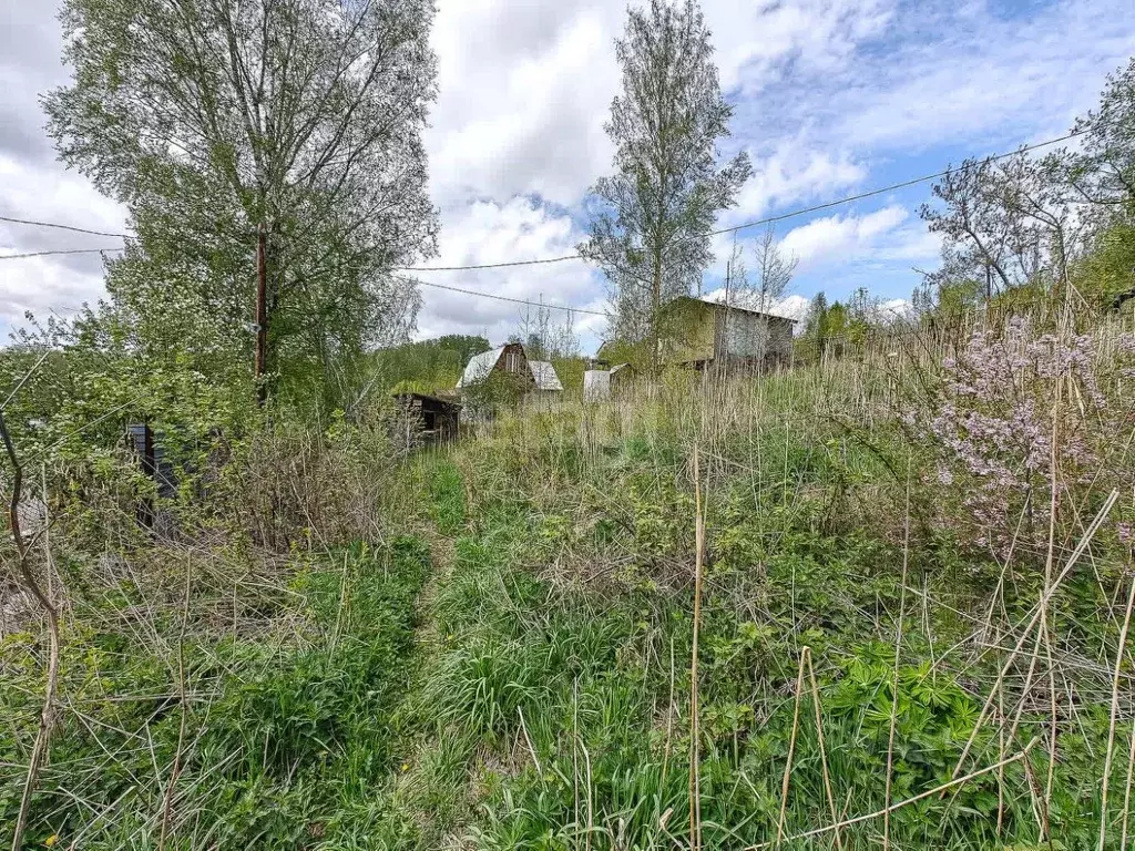 Участок в Новосибирская область, Новосибирск Малиновая ул., 20 (8.0 ... - Фото 1