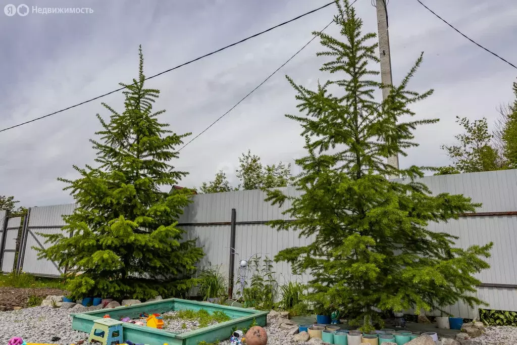 Дом в Хабаровский район, садовое товарищество Стройконтейнер (50 м) - Фото 0