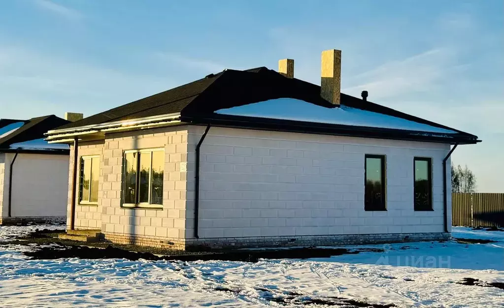 Дом в Омская область, Омский район, с. Пушкино ул. Ленского (70 м) - Фото 1