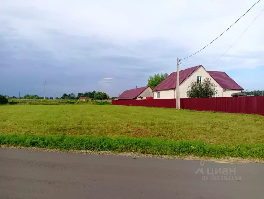 Участок в Пензенская область, Бессоновский район, с. Сосновка ... - Фото 0