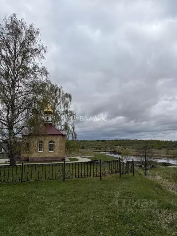 Участок в Владимирская область, Камешковский район, д. Брызгалово, д. ... - Фото 1