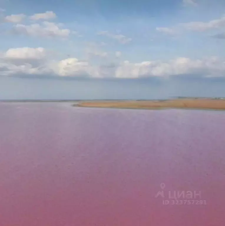 Участок в Крым, Сакский район, Лесновское с/пос, Фрегат-1 СНТ ул. ... - Фото 2