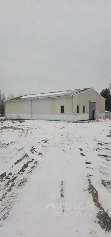 Помещение свободного назначения в Московская область, Клин городской ... - Фото 1