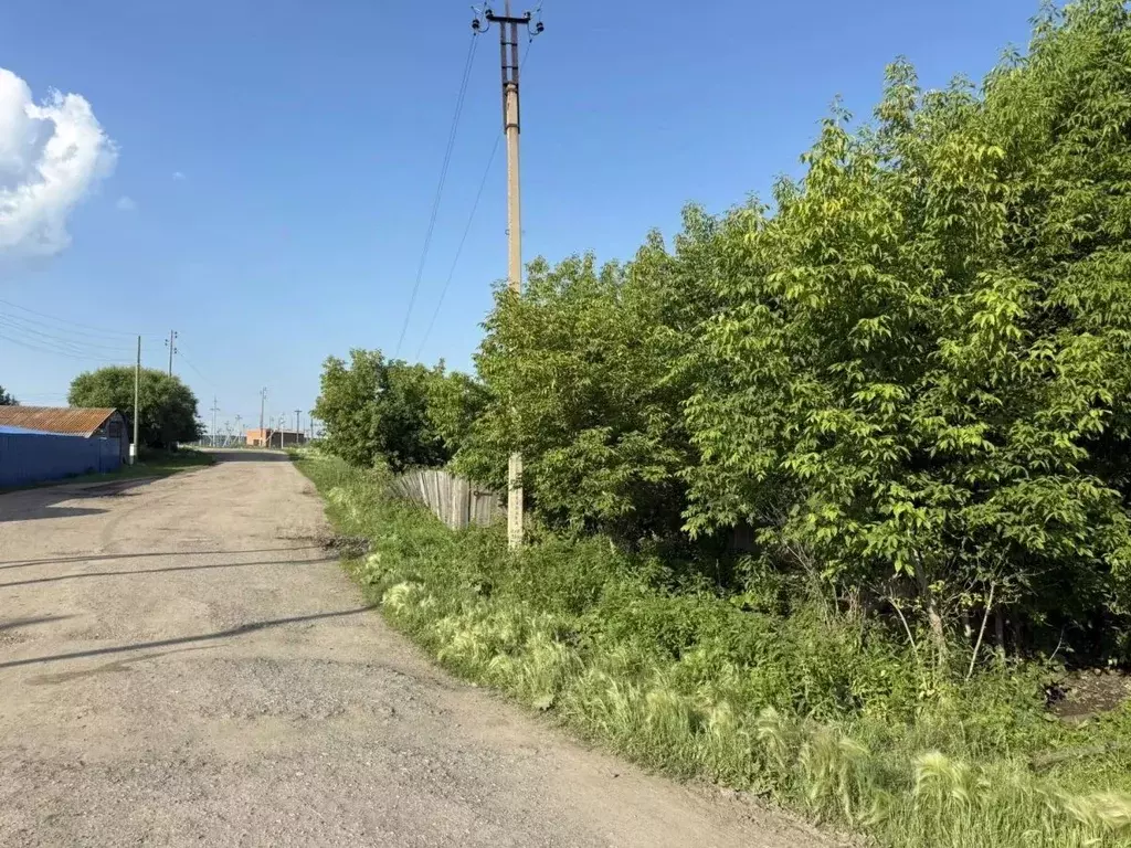 Участок в Челябинская область, Чебаркульский муниципальный округ, с. ... - Фото 1