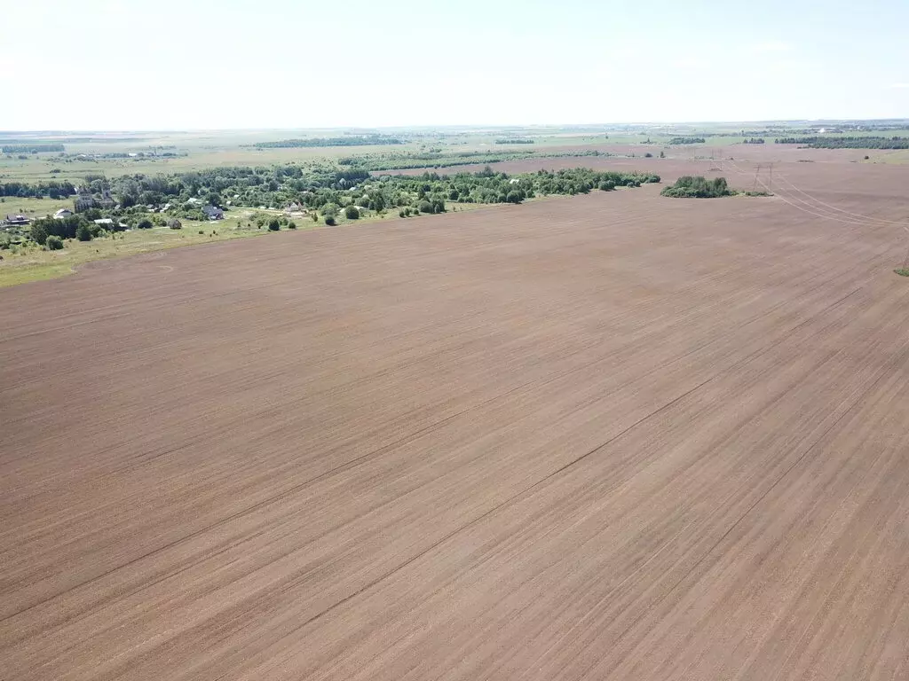 Участок в Суздальский район, муниципальное образование Селецкое, село ... - Фото 1