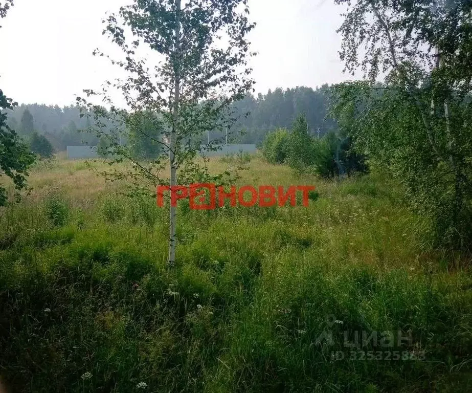 Участок в Новосибирская область, Мошковский район, с. Ташара Восточная ... - Фото 2