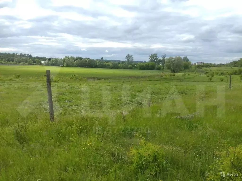 Купить Участок В Северном Белгородская Область