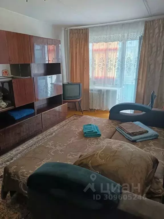 3-к кв. Челябинская область, Чебаркуль ул. Крылова, 10А (57.0 м) - Фото 1
