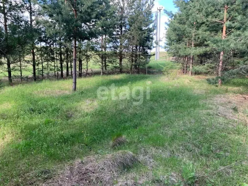 Участок в Мордовия, Ичалковский район, пос. Смольный Солнечная ул., 5 ... - Фото 1