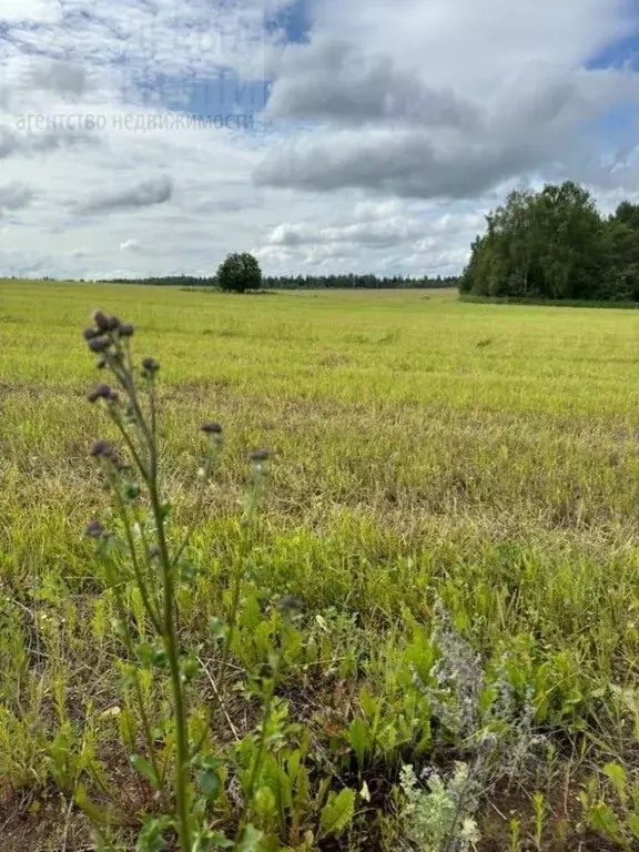 Участок в Ивановская область, Ивановский район, Беляницкое с/пос, д. ... - Фото 1