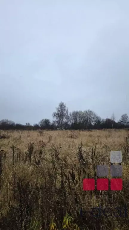 Участок в Московская область, Воскресенск городской округ, д. ... - Фото 1