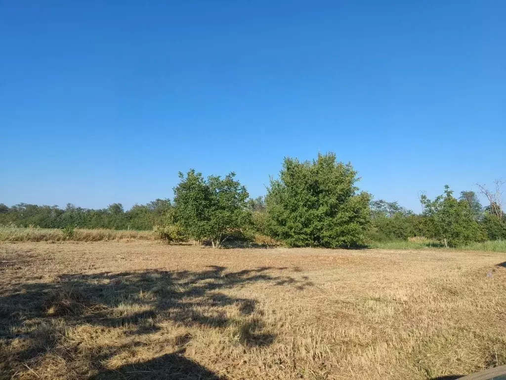 Участок в Краснодарский край, Динская ст-ца, Дачник ДНТ ул. ... - Фото 2