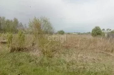 Участок в Ростовская область, Аксайский район, Мишкинская ст-ца ул. ... - Фото 0