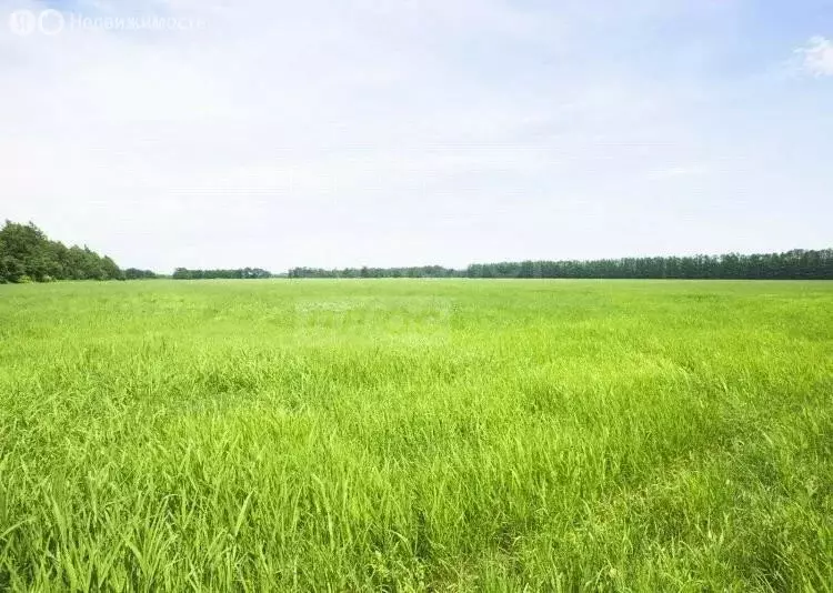 Участок в посёлок Караванный, Майская улица (10.5 м) - Фото 0